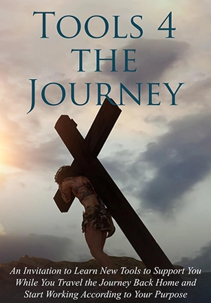 Book Cover Illustration