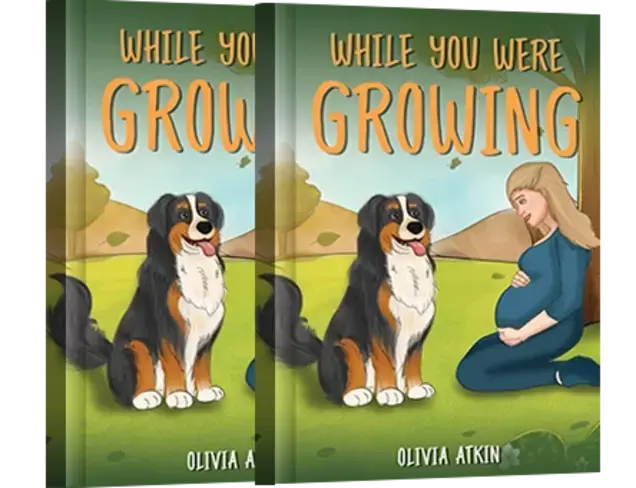 Book Cover Illustration Book Cover Illustration